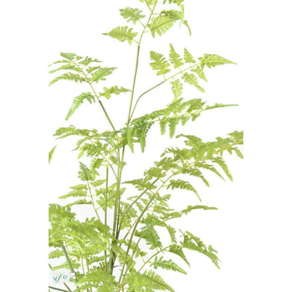Fougère artificielle socle mousse - plante d'intérieur - H.95cm vert - E5