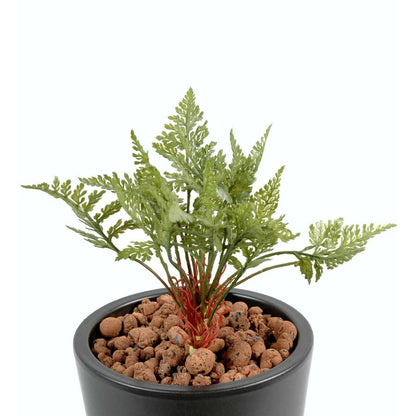 Fougère mini artificielle en piquet - plante intérieur extérieur - H.12cm vert - F1