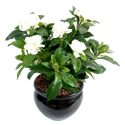 Gardenia artificielle plante en piquet - création florale intérieur - H.40cm crème
