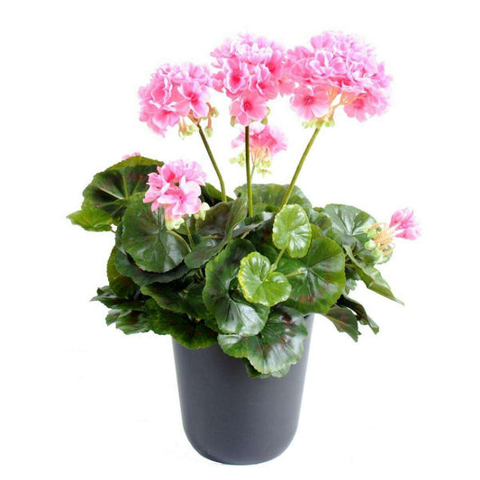 Géranium en piquet 5 têtes - Plante fleurie artificielle - H.40cm rose G3