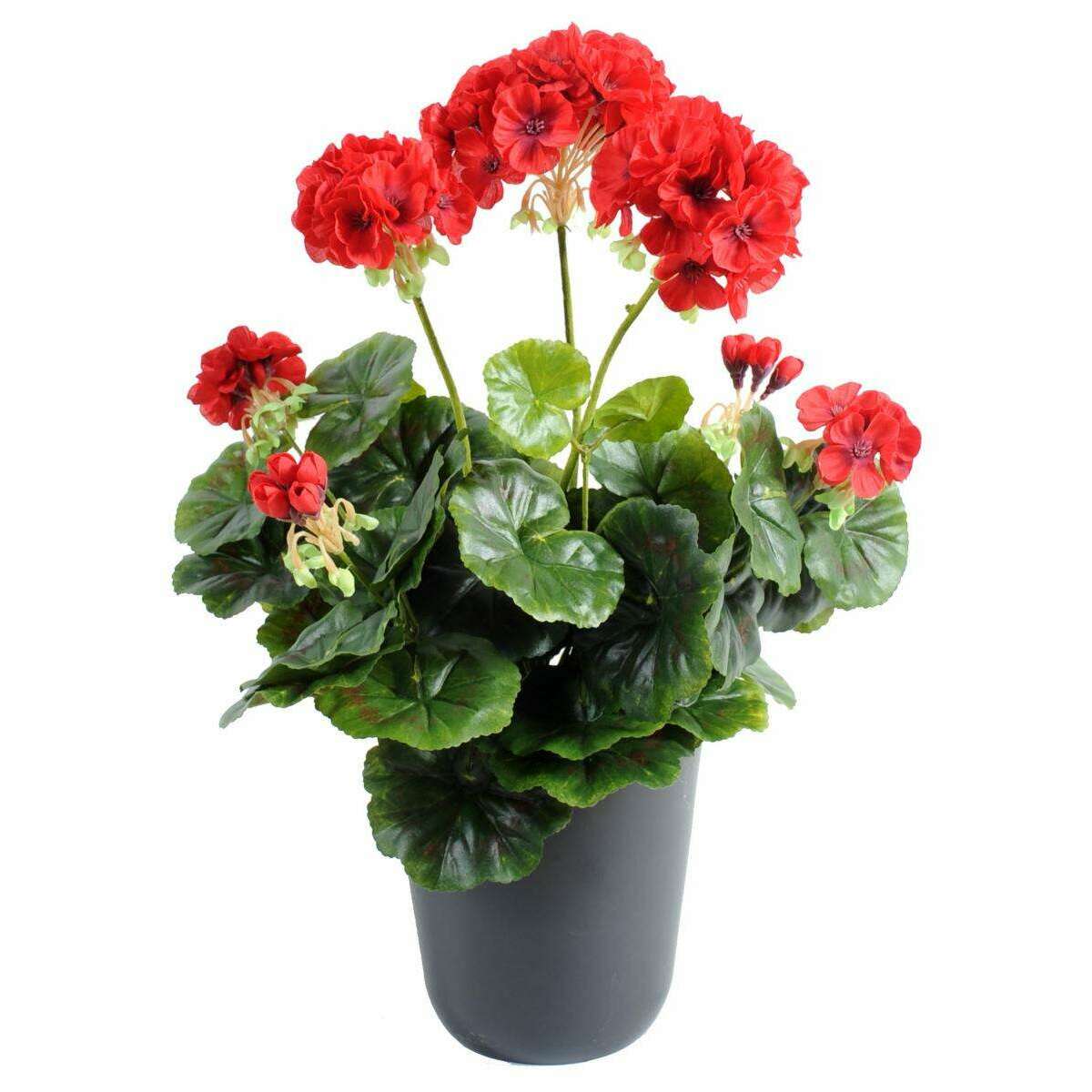 Géranium en piquet 5 têtes - Plante fleurie artificielle - H.40cm rouge G3