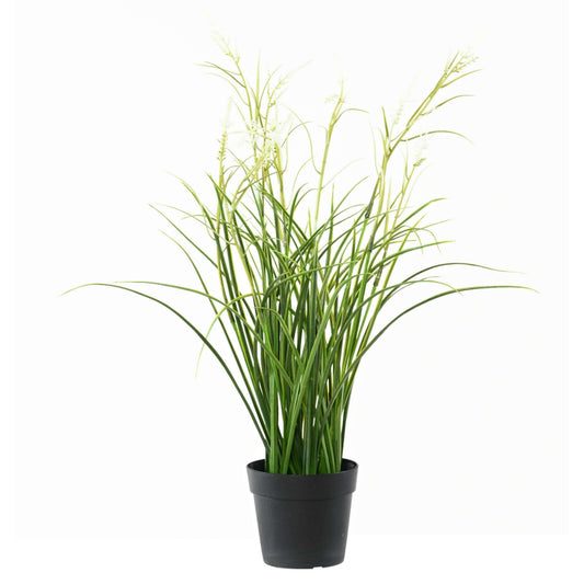 Graminée artificielle Acorus fleuri en pot - plante d'extérieur - H.45cm vert blanc