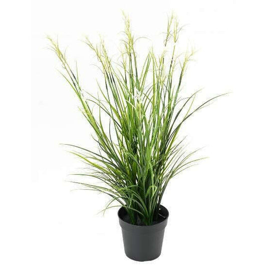Graminée artificielle Acorus fleuri en pot - plante d'extérieur - H.70cm vert blanc -