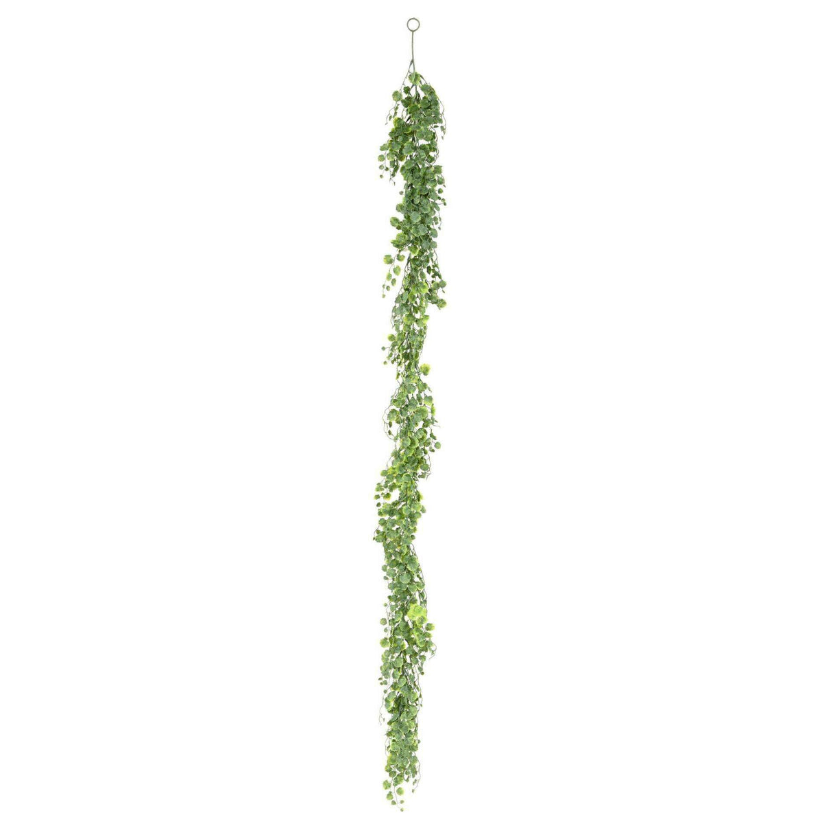 Guirlande artificielle Glechoma  lierre terrestre - décoration d'intérieur - H.180cm - G2