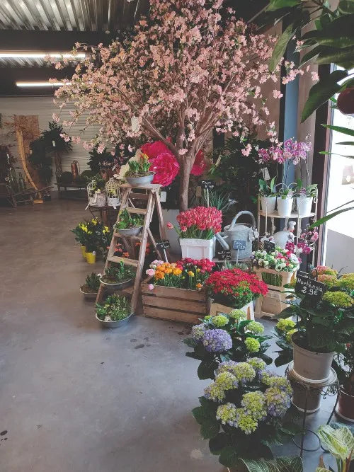 Exposition plantes et fleurs artificielles Blois