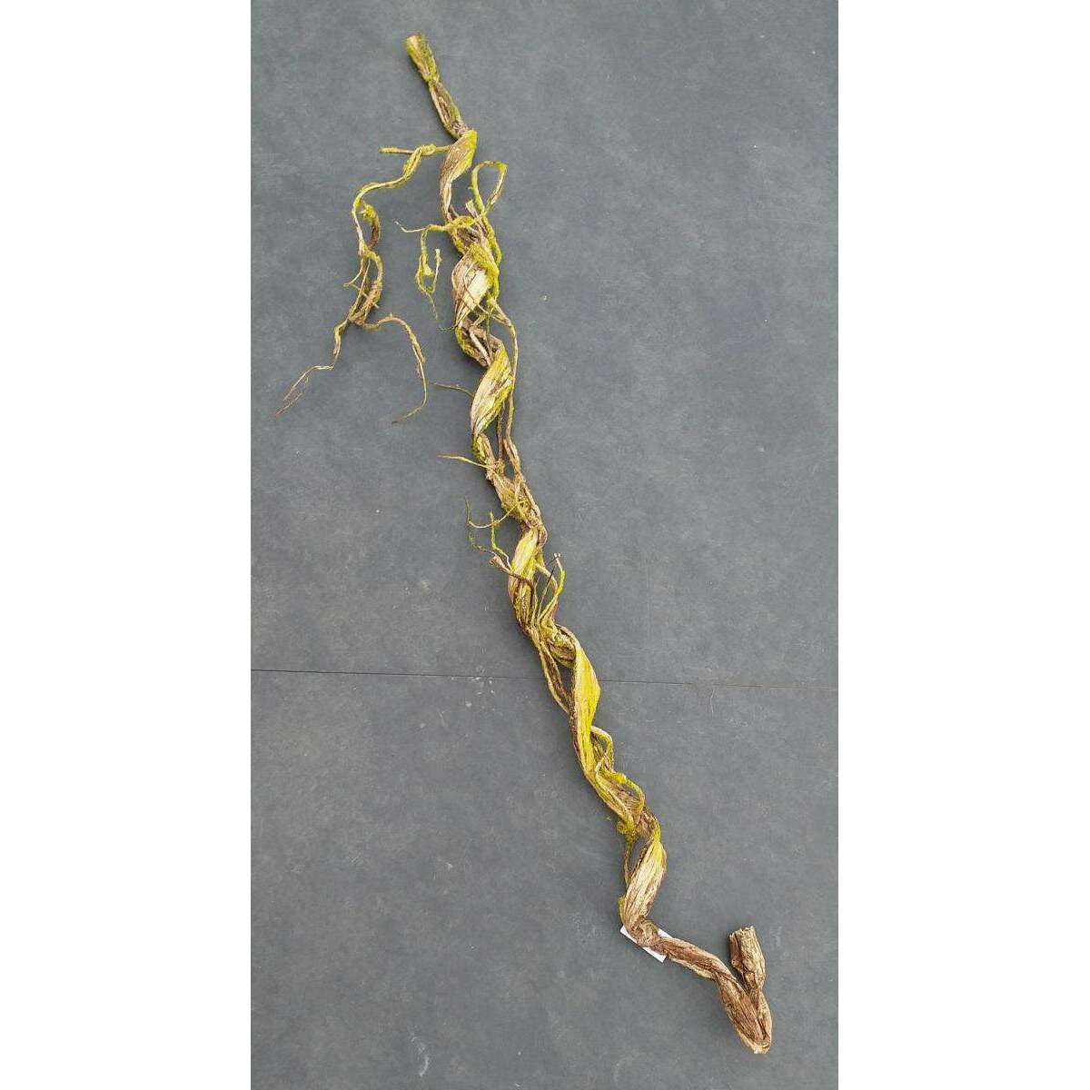 Liane artificielle Branche carton trempé avec mousse - déco d'intérieur - H.134cm S2