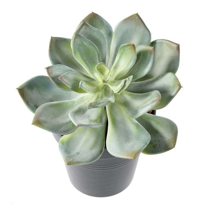 Mini plante artificielle Succulente - cactus artificiel intérieur - H.12cm M1
