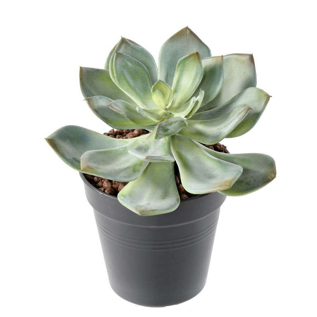 Mini plante artificielle Succulente - cactus artificiel intérieur - H.12cm M1
