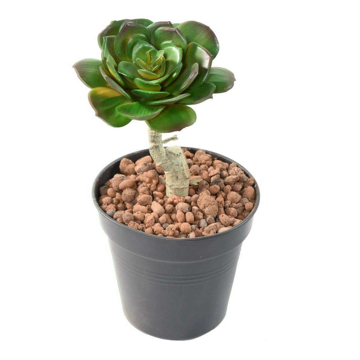 Mini plante artificielle Succulente ROND - cactus artificiel intérieur - H.15cm