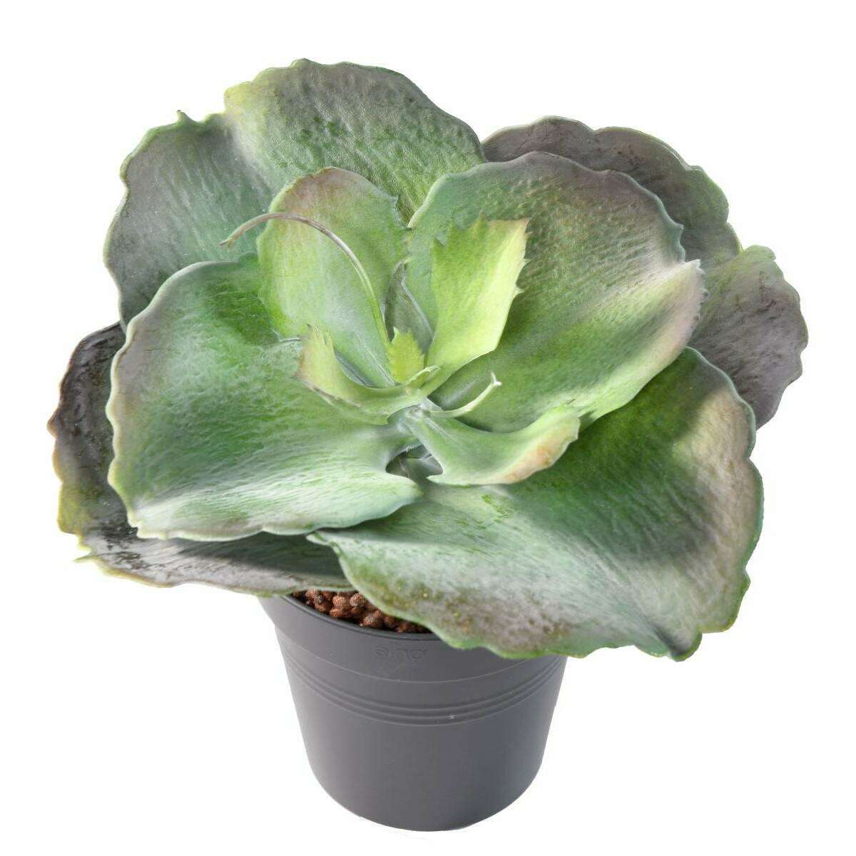 Mini plante artificielle Succulente ROND - cactus artificiel intérieur - H.24 cm N2