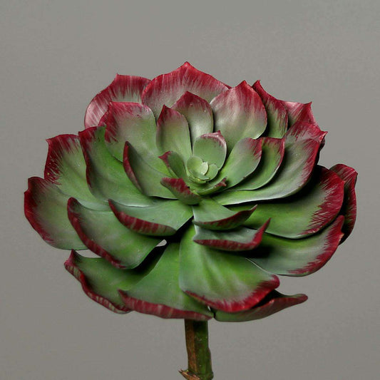 Mini plante artificielle Succulente VR - cactus artificiel intérieur - H.22cm Q1
