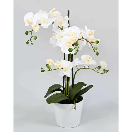 Orchidée Phalaenopsis artificielle en pot blanc - plante d'intérieur - H.70cm - A5