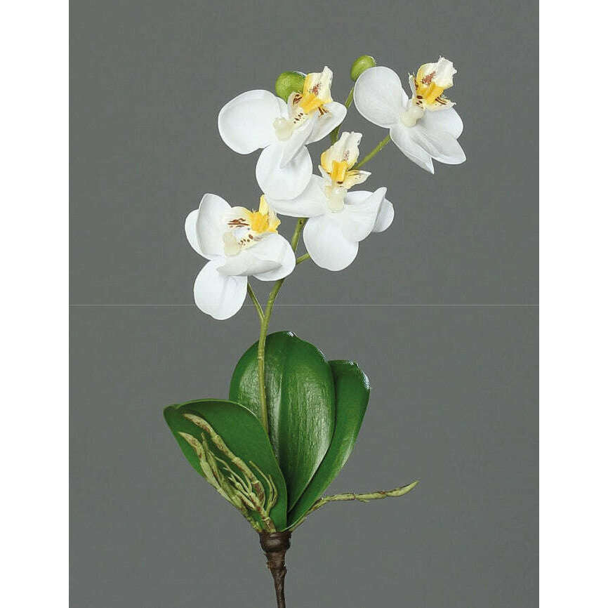 Orchidée Phalaenopsis artificielle mini - fleur en piquet - H.26cm crème P3