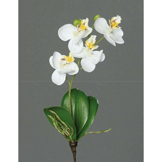 Orchidée Phalaenopsis artificielle mini - fleur en piquet - H.26cm crème P3