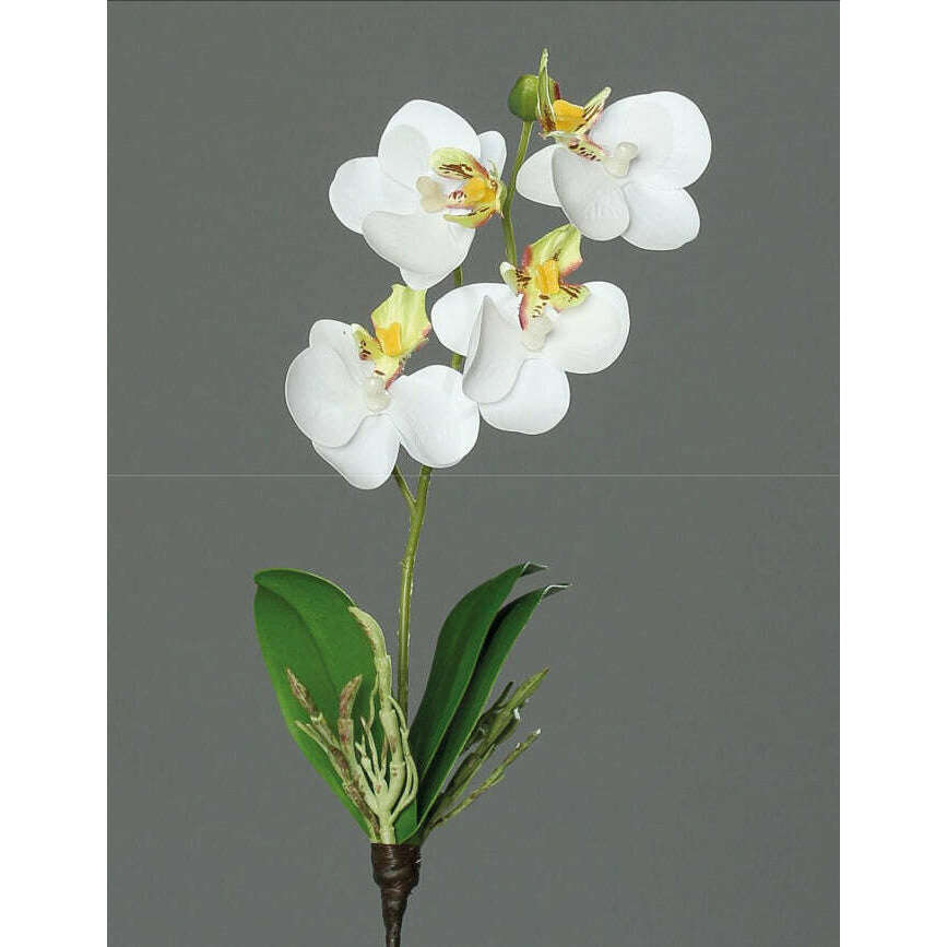 Orchidée Phalaenopsis artificielle mini - fleur en piquet - H.26cm vert blanc Z3