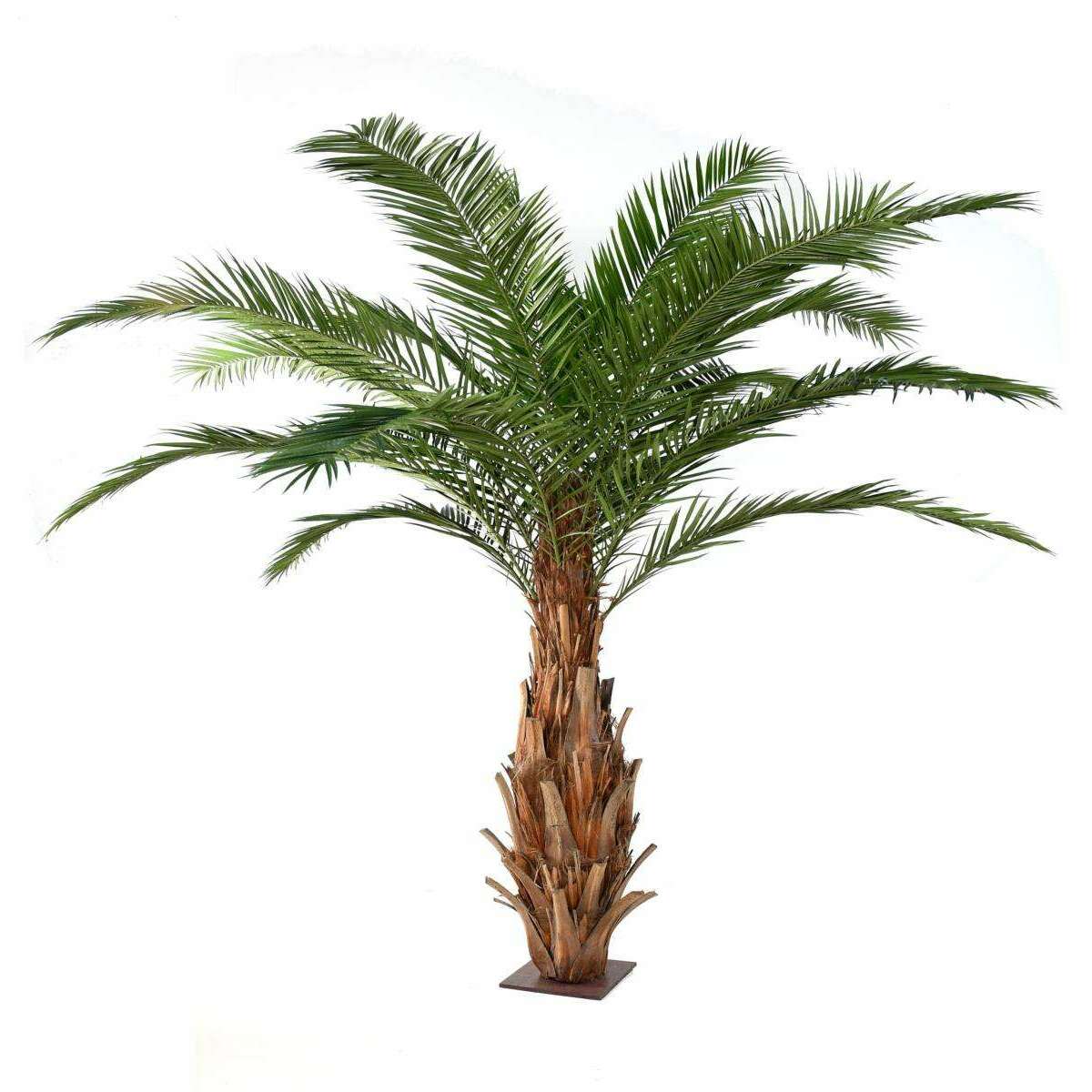 Palmier artificiel Canarie - arbre tropical pour intérieur - H.350cm - P