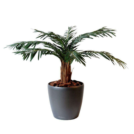 Palmier artificiel Cycas Palm - plante intérieur - H.80cm vert