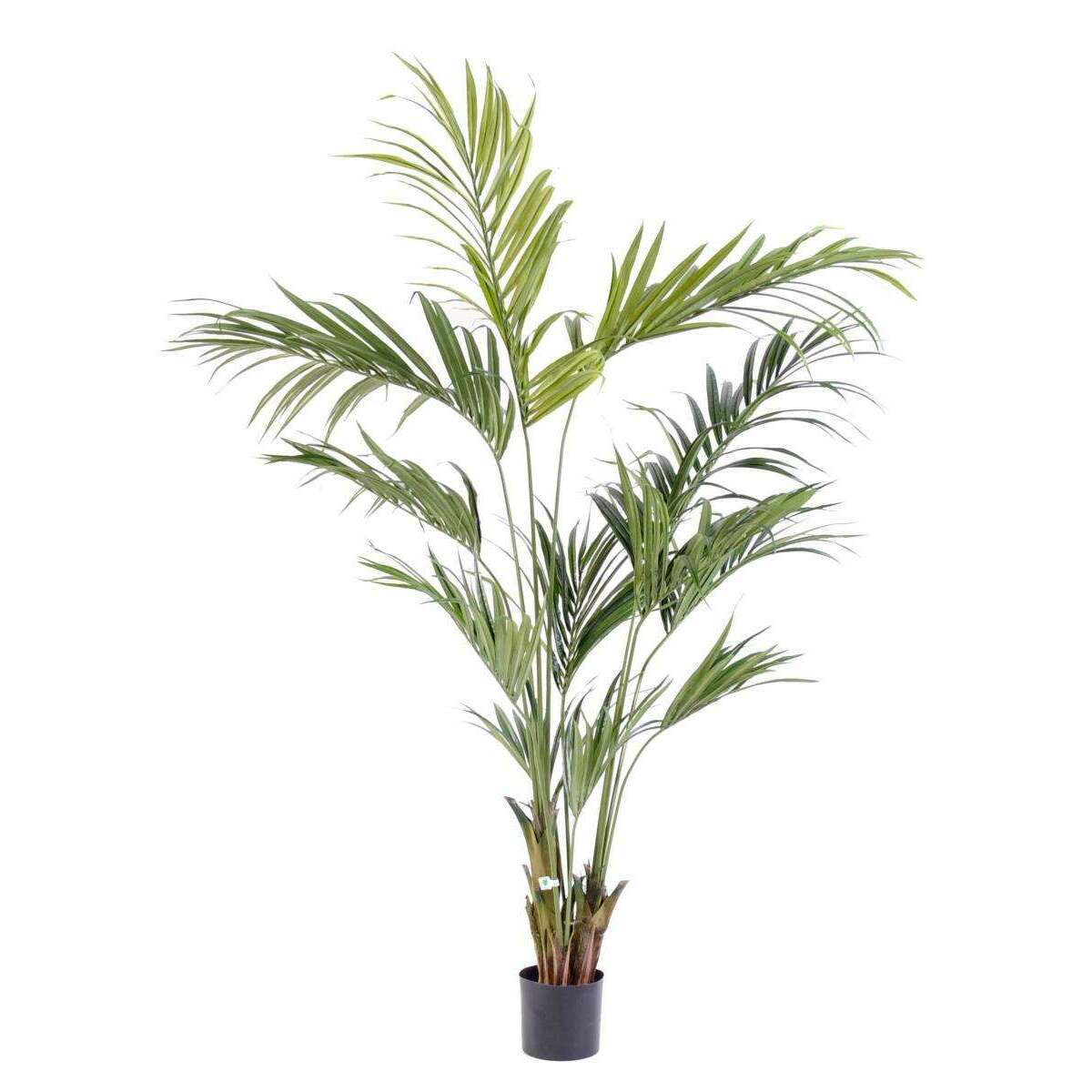 Palmier artificiel kentia Palm - décoration d'intérieur - H.210cm vert