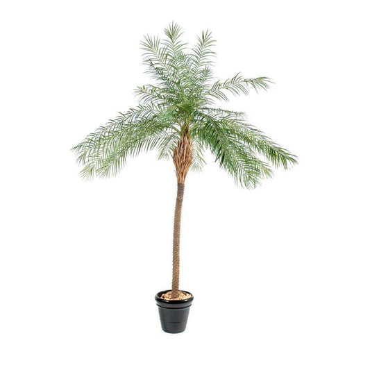 Palmier artificiel Phoenix New - plante d'intérieur - H.190cm vert