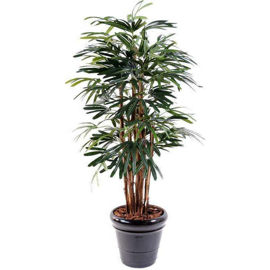 Palmier artificiel Raphis lady 7 cannes -plante synthétique - H.210cm