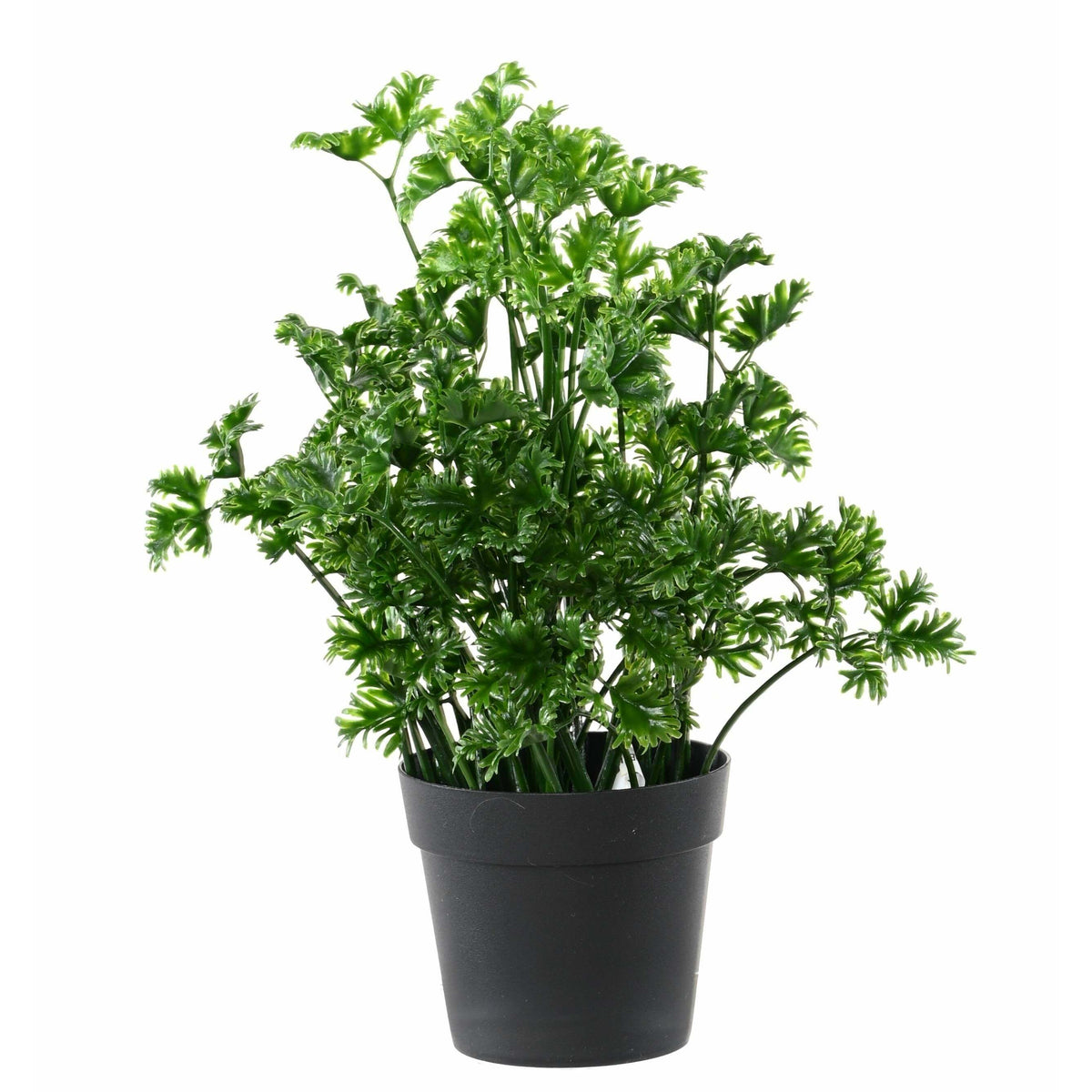 Plante artificielle de Persil en pot - décoration d'intérieur et extérieur - H. 25 cm- Vert - O4