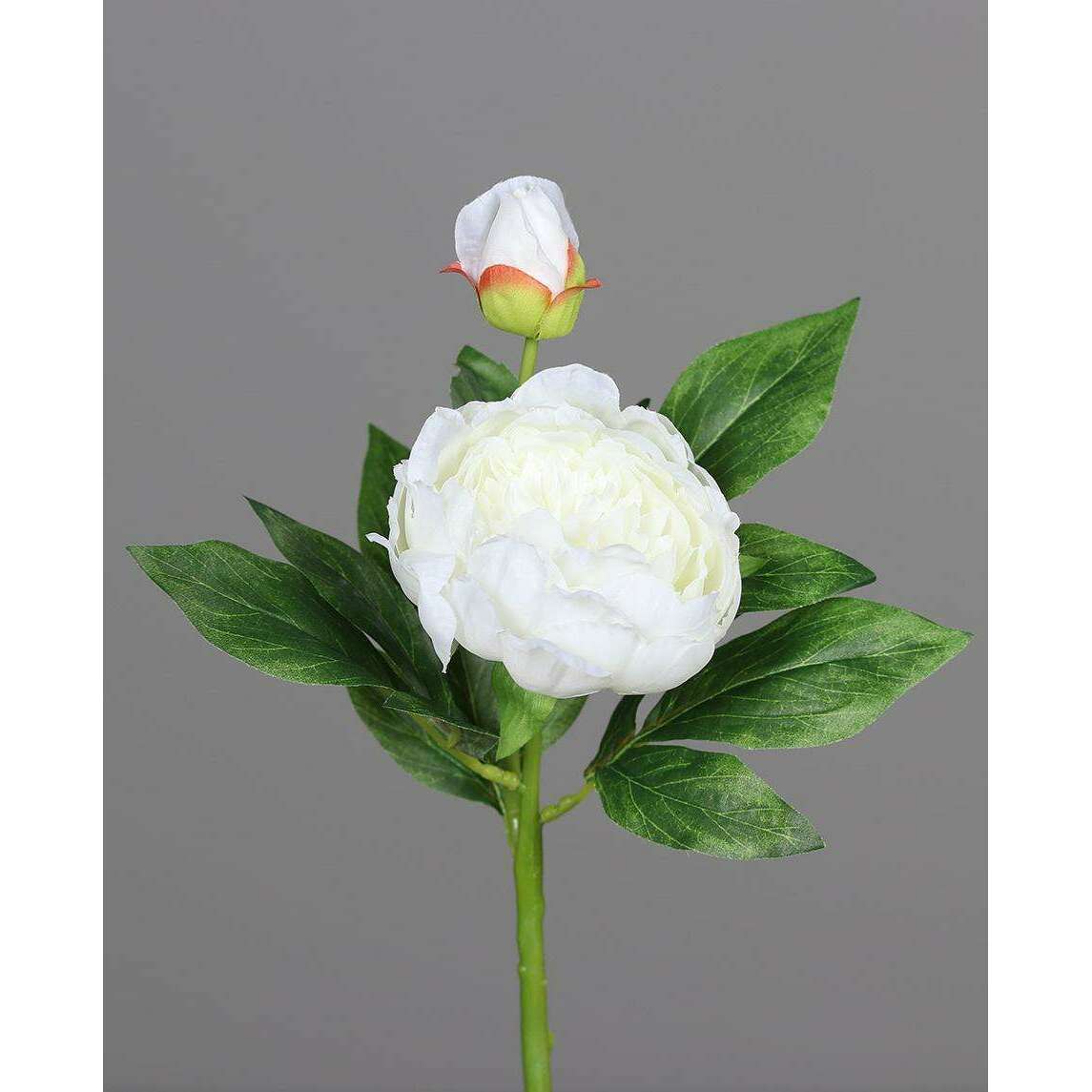 Pivoine artificielle 1 fleur 1 bouton - création de bouquet - H.36cm blanc-P3