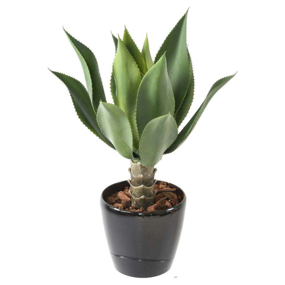 Plante artificielle Agave tige de plantation - cactus pour intérieur - H.60cm SHOW