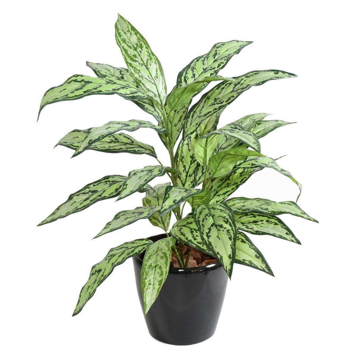 Plante artificielle Aglaonema en piquet -plante d'intérieur - H.80cm vert-B2
