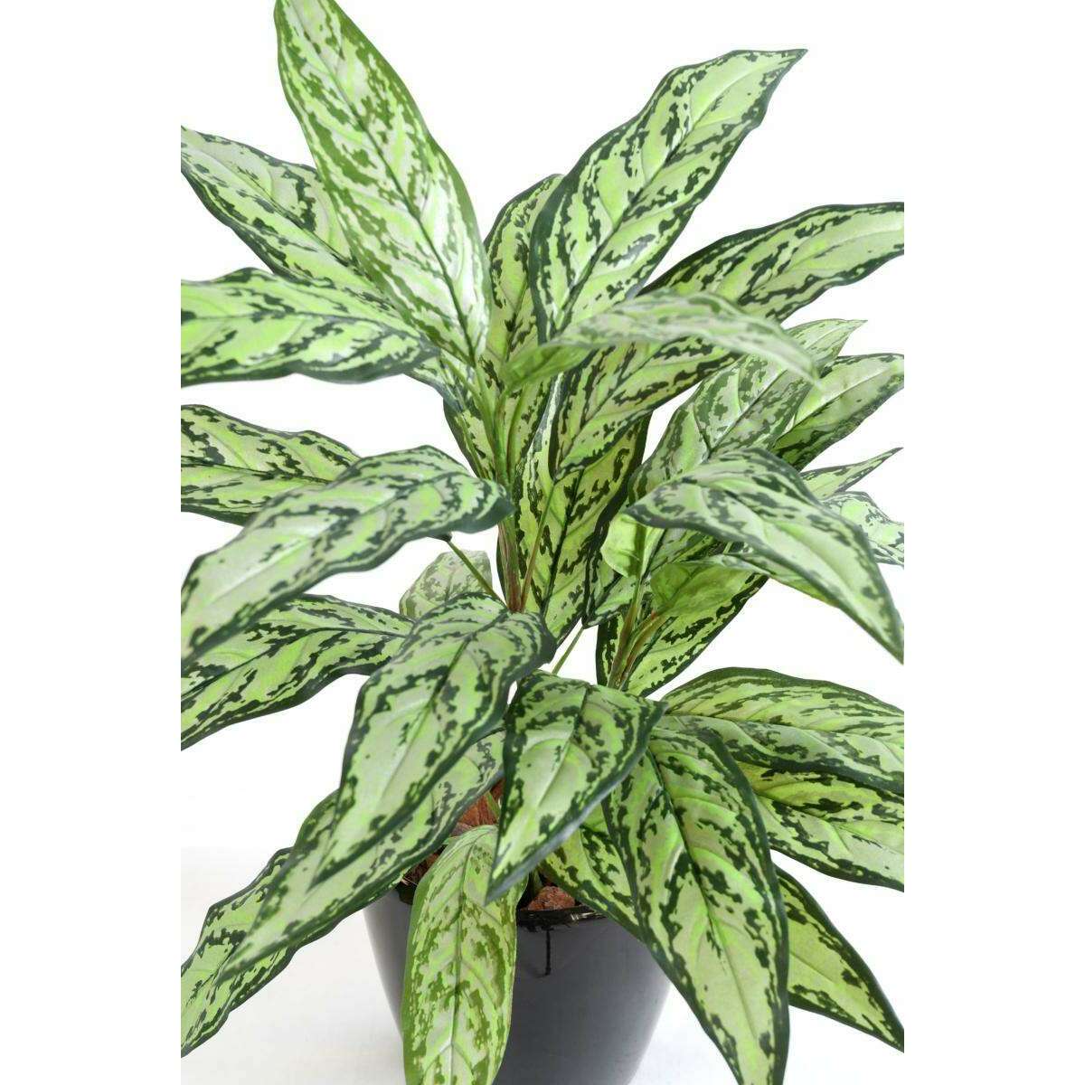 Plante artificielle Aglaonema en piquet -plante d'intérieur - H.80cm vert-B2
