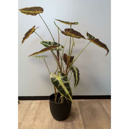 Plante artificielle Alocasia en pot - plante d'intérieur - H.75cm vert foncé - Q3