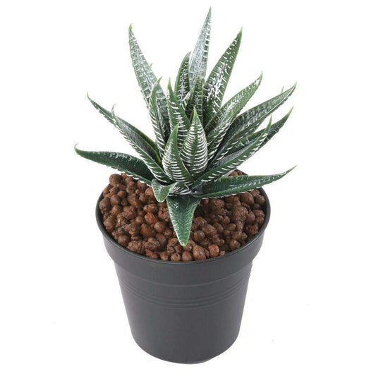 Plante artificielle Aloe en piquet - cactus artificiel intérieur - H.15cm vert A2