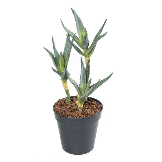 Plante artificielle Aloe en piquet set de 3 - cactus artificiel - H.35cm vert A2