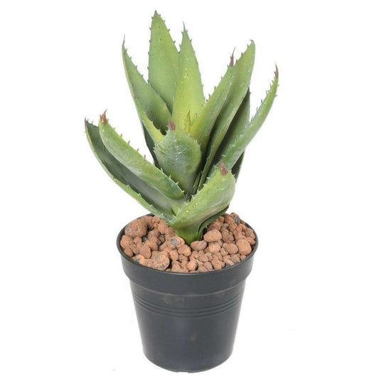 Plante artificielle Aloevera en piquet - cactus artificiel 12 feuilles - H.32cm vert - SHOW