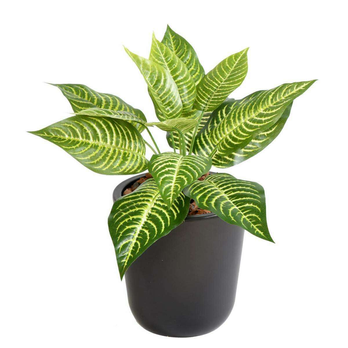 Plante artificielle Aphelandra mini en piquet - décoration d'intérieur - H.30cm panaché B3