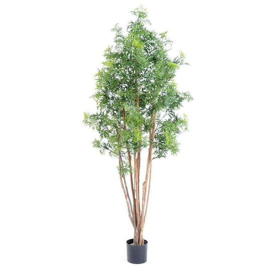 Plante artificielle Aralia Ming - intérieur extérieur - H.180cm vert A