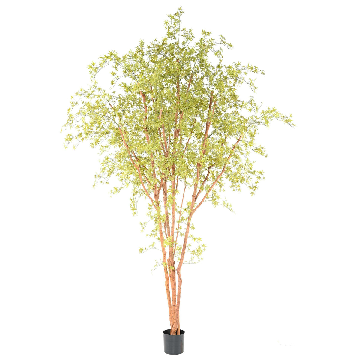 Plante artificielle Aralia Tree PE UV (érable) - intérieur extérieur - H.340cm vert A