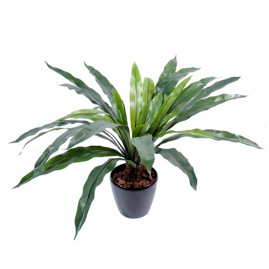 Plante artificielle Asplenium 30 feuilles - décoration d'intérieur - H.60cm