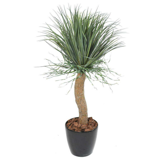 Plante artificielle Beaucarnea Pied d'éléphant - intérieur - H.116cm