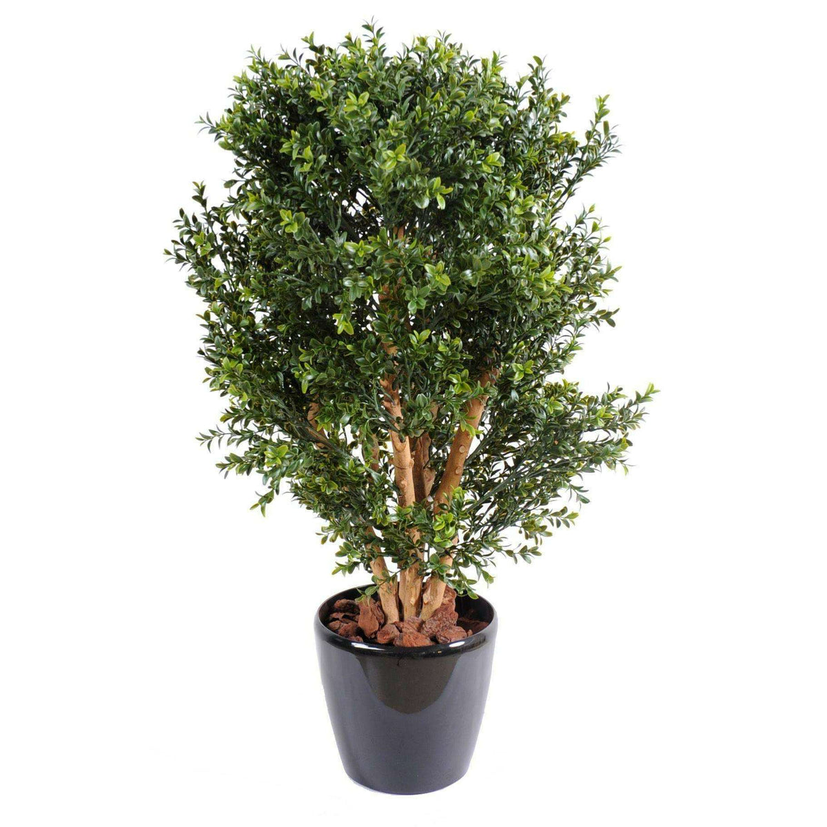 Plante artificielle Buis new buisson UV - arbuste pour extérieur - H.80cm vert ETG MEZZA