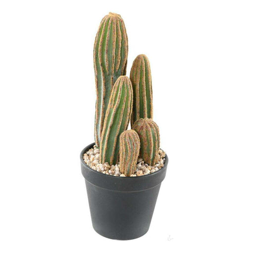 Plante artificielle Cactus Finger 5 troncs - Plante pour intérieur - H.28cm vert - D5