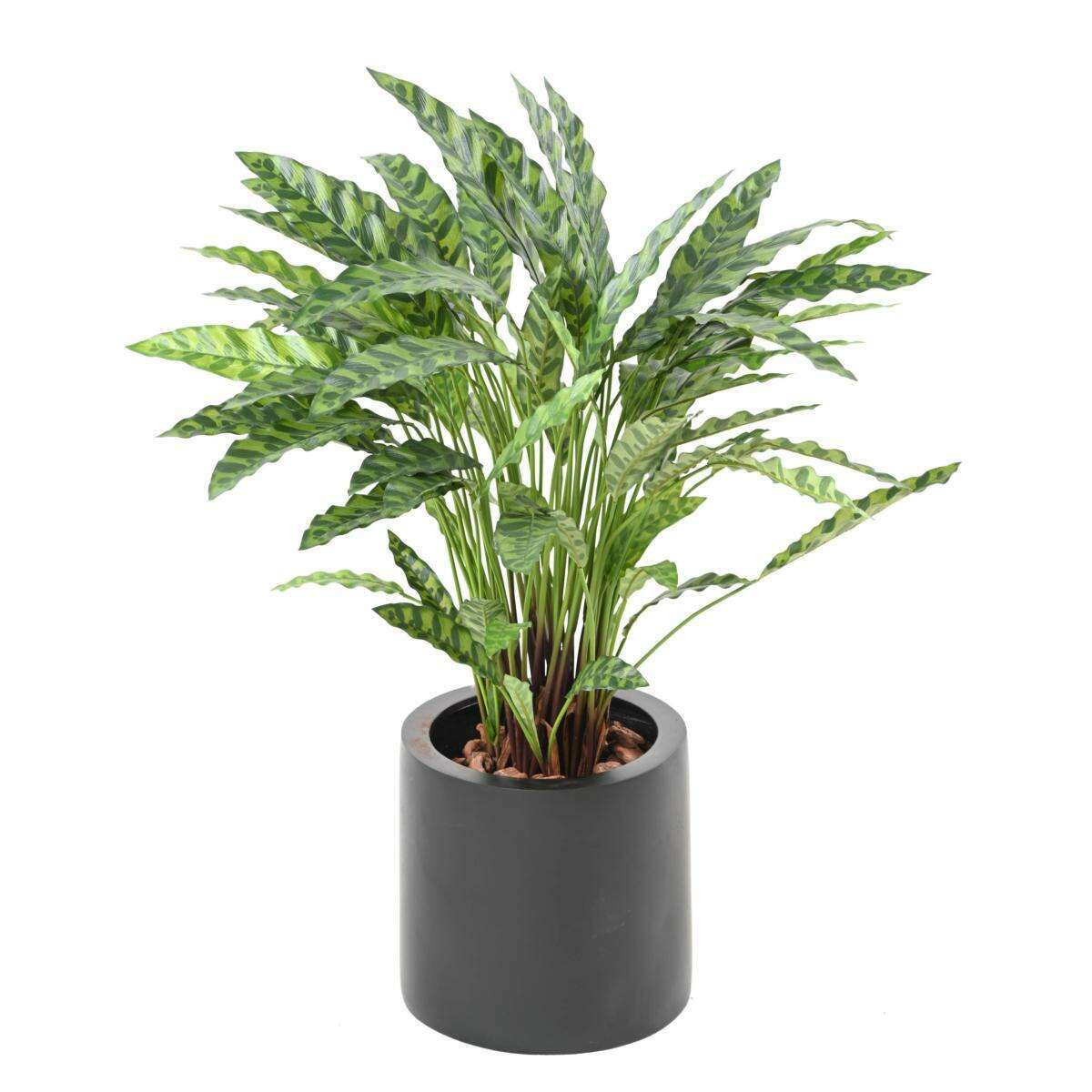 Plante artificielle Calathea en pot - décoration d'intérieur - H.84cm vert