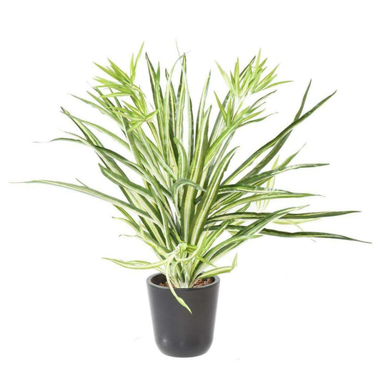 Plante artificielle Chlorophytum en piquet - déco d'intérieur - H.65cm vert blanc D2