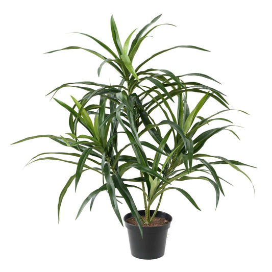 Plante artificielle Dracaena Anita - décoration d'intérieur - H.45cm vert-C5