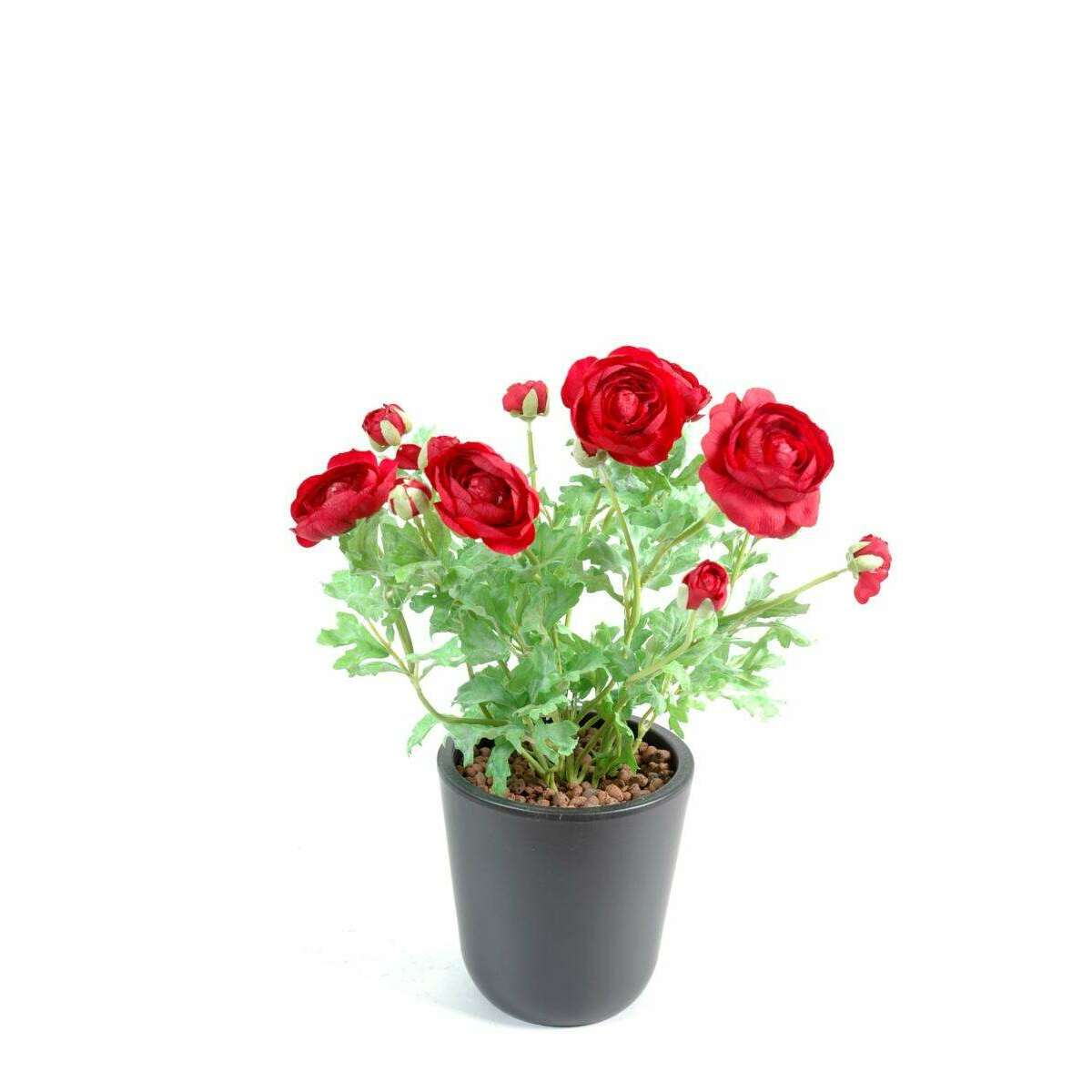 Plante artificielle fleurie - Renoncule rouge en piquet - H.38 cm rouge M2