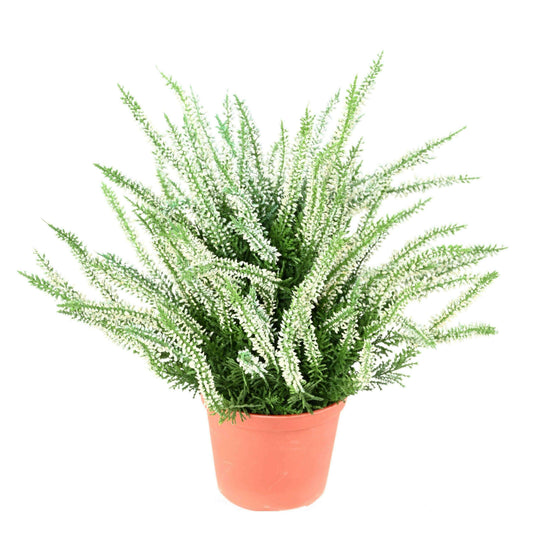 Plante artificielle Fleurie Bruyère plastique en pot - intérieur extérieur - H.35cm blanc - C2