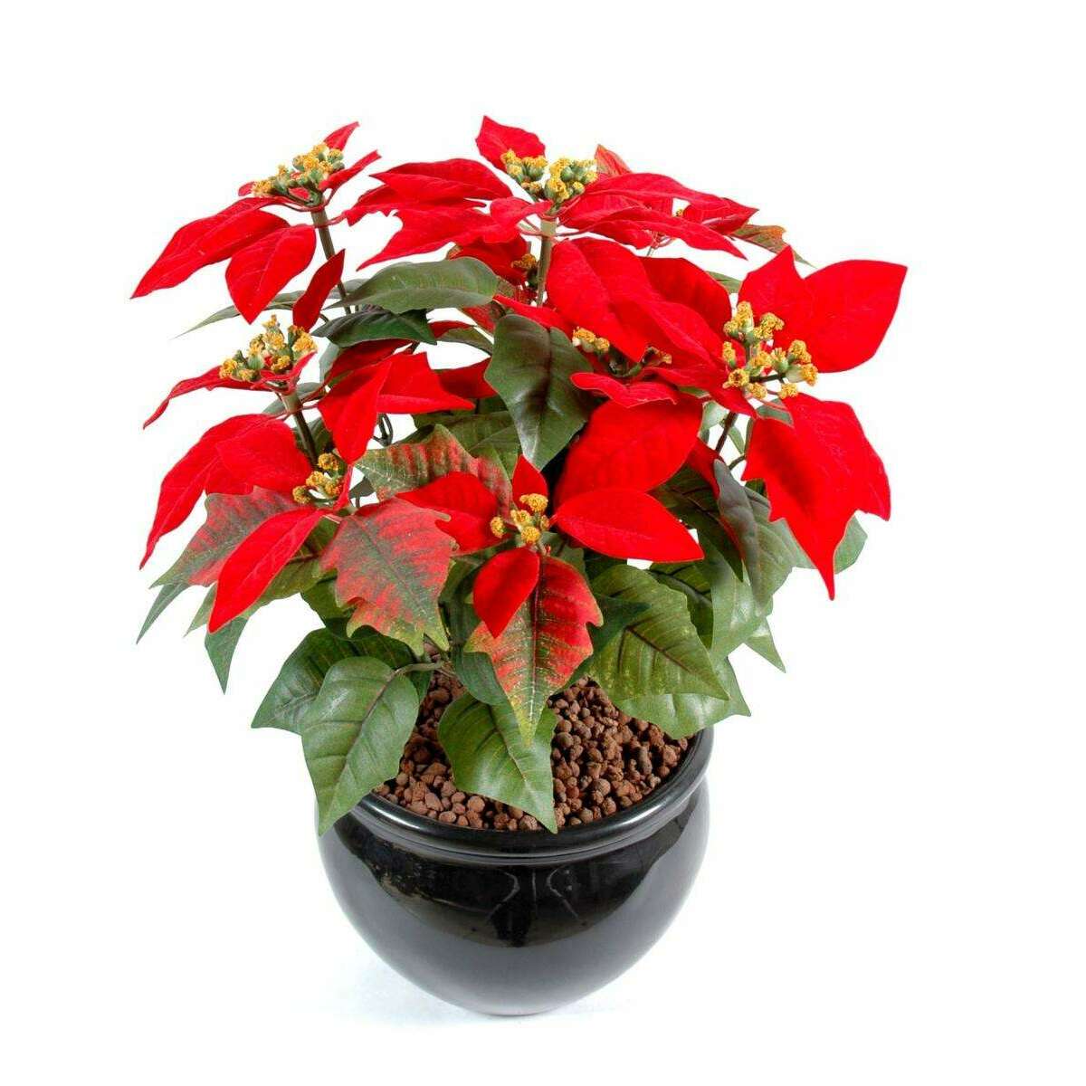 Plante artificielle fleurie Poinsettia - plante en piquet - H.40cm rouge - L4