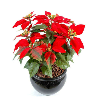 Plante artificielle fleurie Poinsettia - plante en piquet - H.40cm rouge - L4