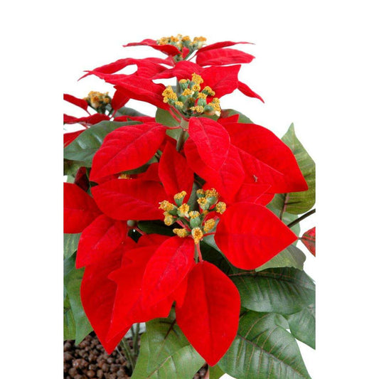 Plante artificielle fleurie Poinsettia - plante en piquet - H.40cm rouge - L4