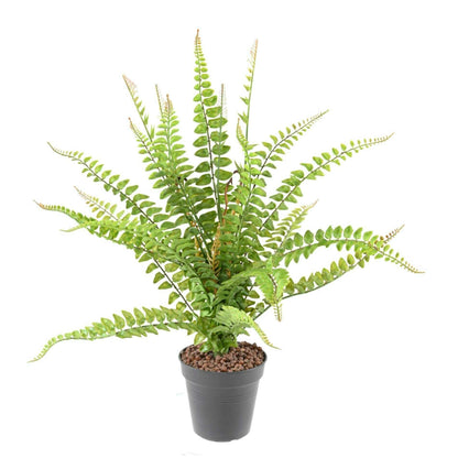 Plante artificielle fougère Boston en piquet - décoration d'intérieur - H.50cm - F2