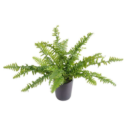 Plante artificielle Fougère Boston en piquet - intérieur - H.56cm Ø.70cm - F4